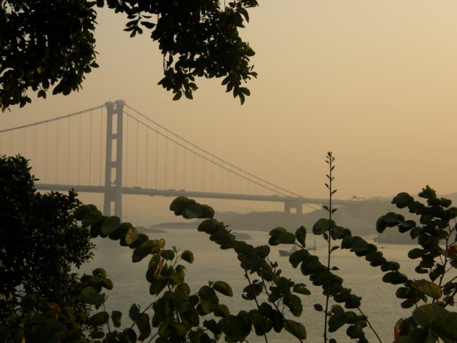 hksunsetontheharbour0201200815.jpg