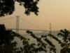 hksunsetontheharbour0201200815_small.jpg