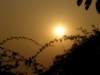 hksunsetontheharbour0201200821_small.jpg