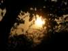 hksunsetontheharbour0201200822_small.jpg