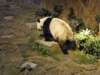 oceanpark14012009100_small.jpg