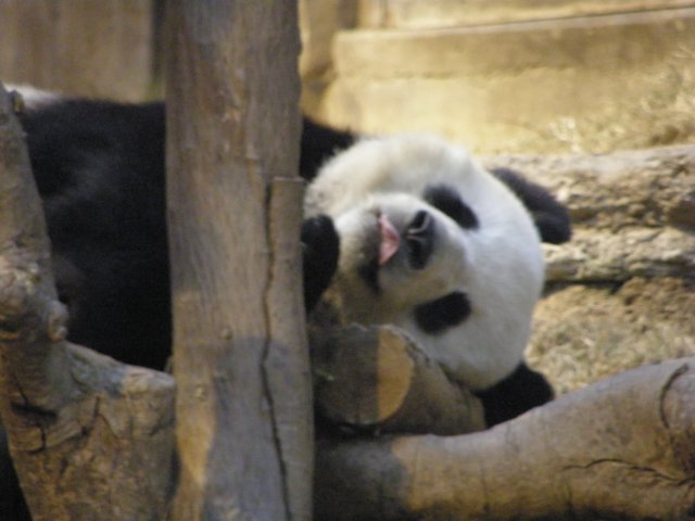 oceanpark14012009101.jpg