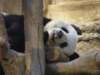oceanpark14012009101_small.jpg