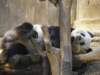 oceanpark14012009102_small.jpg