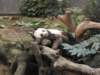 oceanpark14012009103_small.jpg