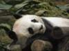 oceanpark14012009104_small.jpg