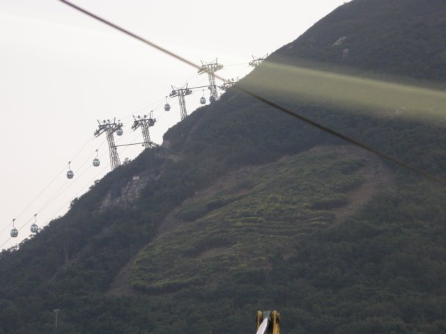 oceanpark14012009105.jpg