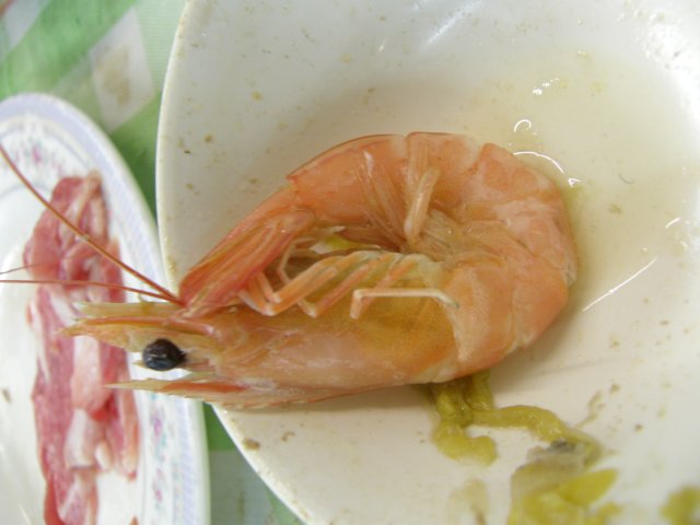oceanpark14012009107.jpg