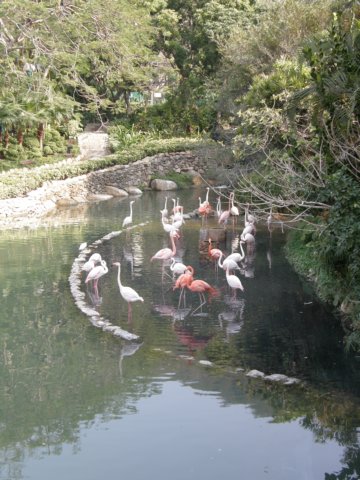 oceanpark140120092.jpg