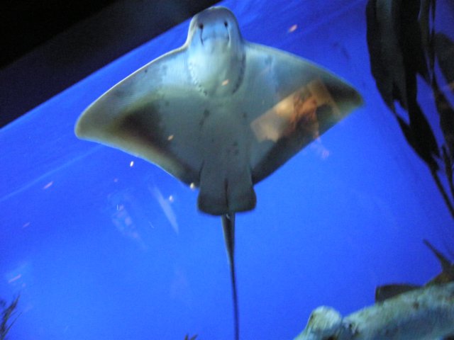 oceanpark1401200934.jpg
