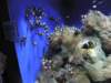 oceanpark1401200936_small.jpg