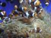 oceanpark1401200937_small.jpg