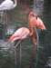 oceanpark140120093_small.jpg