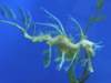 oceanpark1401200943_small.jpg
