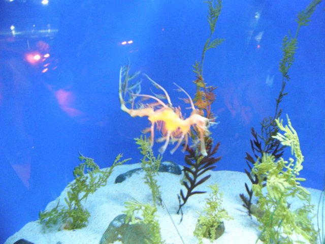 oceanpark1401200944.jpg