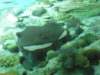 oceanpark1401200945_small.jpg
