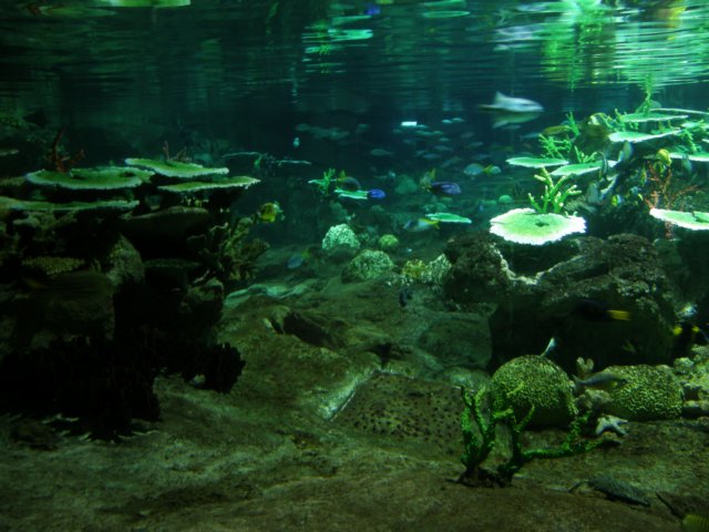oceanpark1401200946.jpg