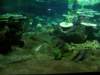 oceanpark1401200947_small.jpg
