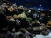oceanpark1401200948_small.jpg