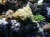 oceanpark1401200949_small.jpg