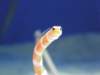 oceanpark1401200951_small.jpg