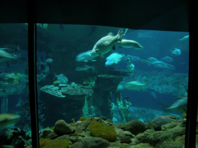 oceanpark1401200952.jpg