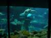 oceanpark1401200952_small.jpg