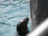 oceanpark1401200956_small.jpg
