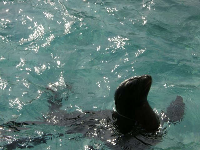 oceanpark1401200957.jpg