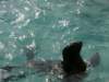 oceanpark1401200957_small.jpg