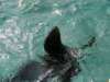 oceanpark1401200958_small.jpg
