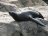 oceanpark1401200960_small.jpg