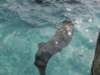 oceanpark1401200962_small.jpg