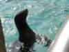 oceanpark1401200964_small.jpg