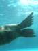 oceanpark1401200966_small.jpg