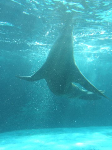 oceanpark1401200967.jpg