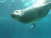 oceanpark1401200969_small.jpg