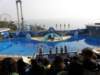 oceanpark1401200974_small.jpg