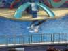oceanpark1401200976_small.jpg