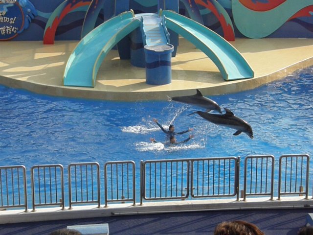 oceanpark1401200977.jpg