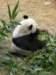 oceanpark1401200985_small.jpg