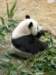 oceanpark1401200986_small.jpg
