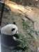 oceanpark1401200987_small.jpg