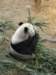 oceanpark1401200988_small.jpg