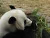 oceanpark1401200990_small.jpg