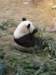 oceanpark1401200992_small.jpg