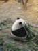 oceanpark1401200993_small.jpg