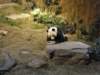 oceanpark1401200995_small.jpg