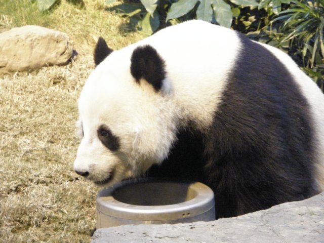 oceanpark1401200997.jpg