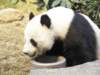 oceanpark1401200997_small.jpg
